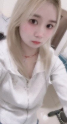 长安萝莉玫瑰花